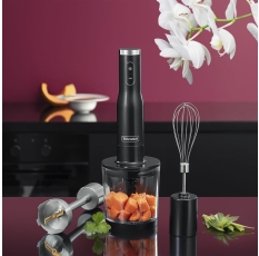 Rondell Блендерый набор -МБТ RDE-1301 в ДНР