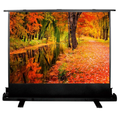 Экран для проектора Cactus FloorExpert CS-PSFLE-200X150 в ДНР