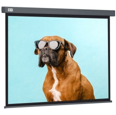 Экран Cactus 183x244см Wallscreen CS-PSW-183X244-SG 4:3 настенно-потолочный рулонный серый в ДНР
