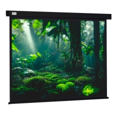 Экран для проектора Cactus Wallscreen CS-PSW-213X213-BK 118.59