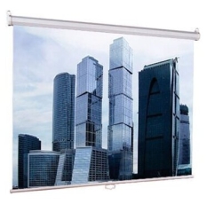 Экран Lumien 206x274см Eco Picture LEP-100115 4:3 настенно-потолочный рулонный в ДНР