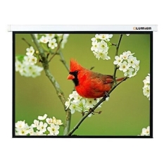 Рулонный матовый белый экран Lumien Master Picture LMP-100108 в ДНР