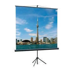 Экран Lumien Eco View LEV-100101, 150х150 см, 1:1, напольный в ДНР