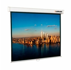 Экран Lumien Master Picture LMP-100102, 153х153 см, 1:1, настенно-потолочный в ДНР