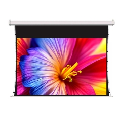 Экран для проектора SOK SCPSMT-360x270FG-ED60 177