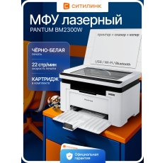 МФУ принтер лазерный Pantum BM2300W черно-белая печать, A4, 1200 x 1200 dpi, цвет белый в ДНР