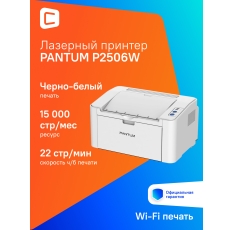 Принтер лазерный Pantum P2506W черно-белая печать, A4, цвет серый в ДНР