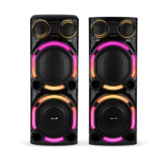 Акустическая система ELTRONIC 15