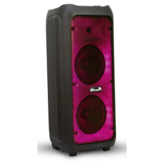 Акустическая колонка ELTRONIC 20-59 FIRE BOX 500 - 08 в ДНР