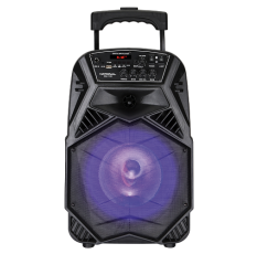 Аудиосистема National NSM-V100 в ДНР