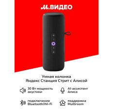 Умная портативная колонка Яндекс Станция Стрит с Алисой, черная, 30 Вт в ДНР