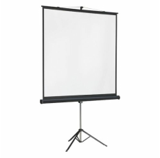 Экран Lumien Master View LMV-100105, 244х244 см, 1:1, напольный в ДНР