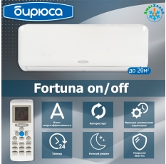 Бирюса Fortuna on/off B-07FPR/B-07FPQ в ДНР