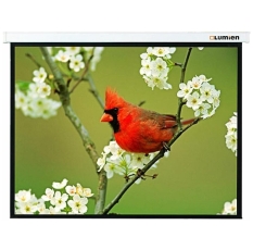 Экран для проектора Lumien Master Picture 213х213 см LMP-100105 в ДНР