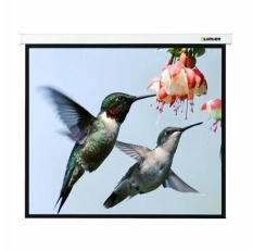 Экран Lumien Master Picture LMP-100117, 280х202 см, 16:9, настенно-потолочный в ДНР