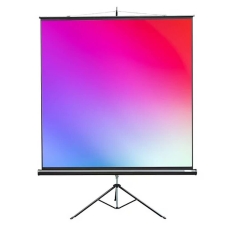 Экран для проекторов Lumien Master View LMV-100109 в ДНР