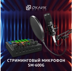 Микрофон проводной Оклик SM-600G 2.5м черный в ДНР