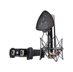 Профессиональный студийный ламповый микрофон [110802A2026] [Space 251] Space 251 в ДНР