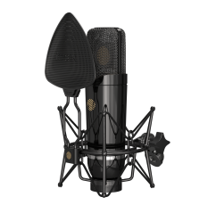 Студийный конденсаторный микрофон [110802A2024] Icon [Space 87] с большой диафрагмой в ДНР