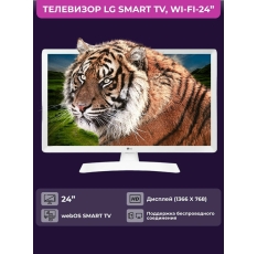 Телевизор LG 24TQ510S-WZ 23 HD, белый в ДНР