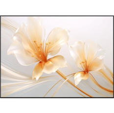 Экран на раме Xgimi 100