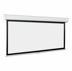 Экран Lumien Master Picture LMP-100121, 200х173 см, 16:9, настенно-потолочный в ДНР