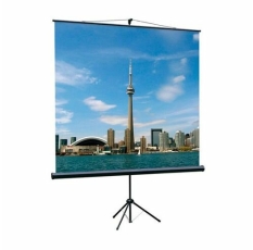 Экран Lumien Eco View LEV-100102, 180х180 см, 1:1, напольный в ДНР