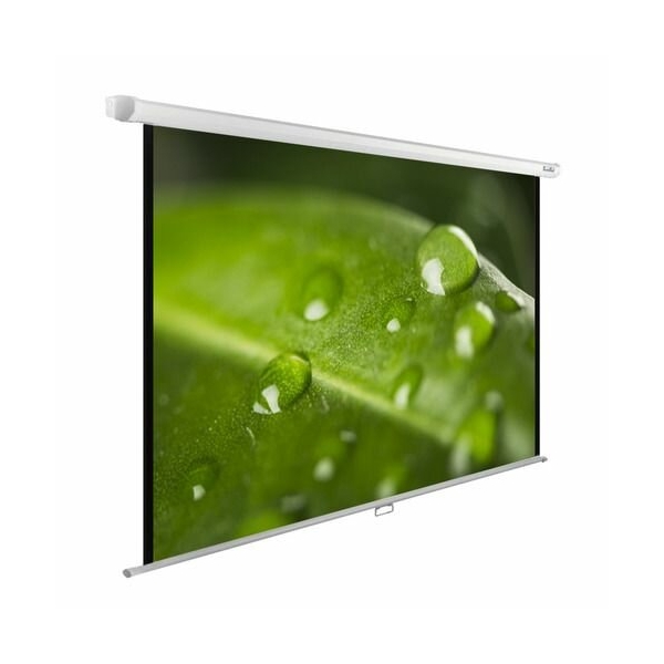 Технопапа · Экран Cactus WallExpert CS-PSWE-200x150-WT, 200х150 см, 4:3, настенно-потолочный