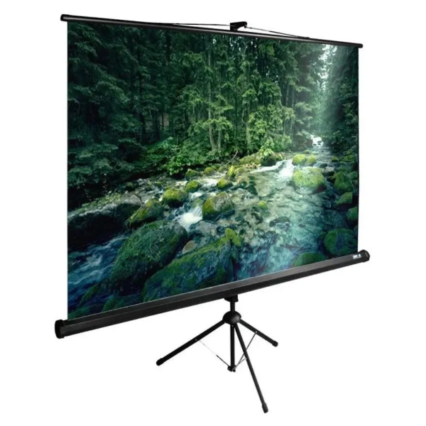 Технопапа · Экран для проектора Cactus TriExpert CS-PSTE-220х165-BK, black