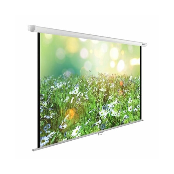 Технопапа · Экран Cactus WallExpert CS-PSWE-200x200-WT, 200х200 см, 1:1, настенно-потолочный