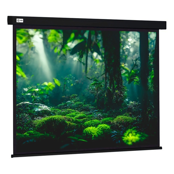 Технопапа · Экран для проектора Cactus Wallscreen CS-PSW-213X213-BK 118.59", 213x213 см