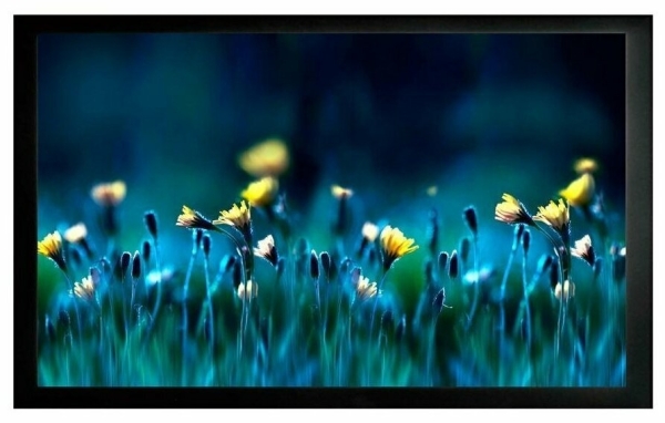 Технопапа · Проекционный экран Cactus FrameExpert CS-PSFRE-200X113 113x200