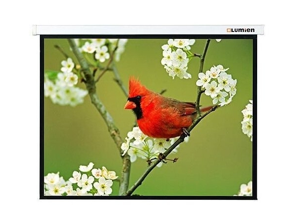 Технопапа · Рулонный матовый белый экран Lumien Master Picture LMP-100108