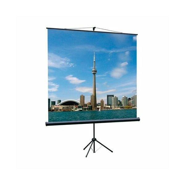 Технопапа · Экран Lumien Eco View LEV-100101, 150х150 см, 1:1, напольный