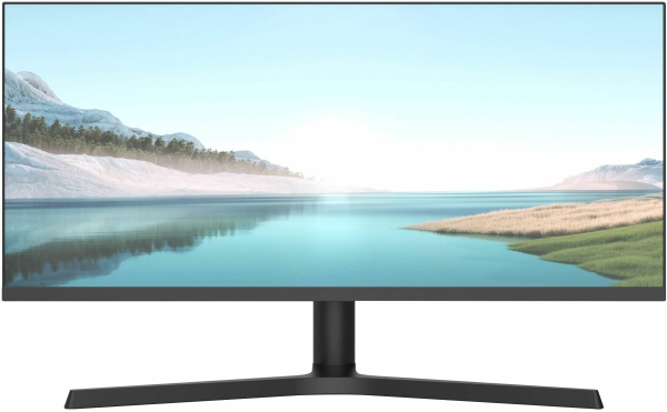 Технопапа · Монитор NPC 29" MZ300L черный