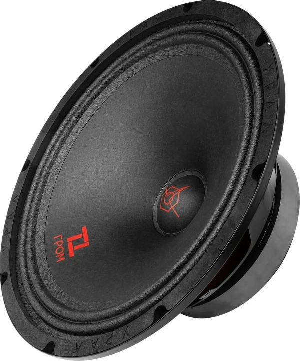 Технопапа · Автоакустика URAL TT 250 Гром, 10", 98.5 дБ, 2 полосы, черная