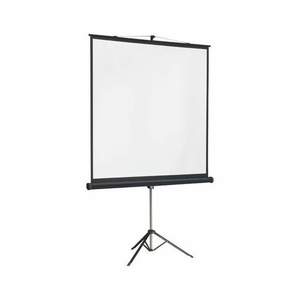 Технопапа · Экран Lumien Master View LMV-100105, 244х244 см, 1:1, напольный