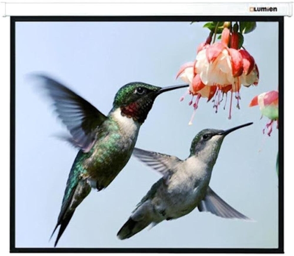 Технопапа · Экран для проектора Lumien Master Picture CSR 197x231см 100" Matte White LMP-100107CSR