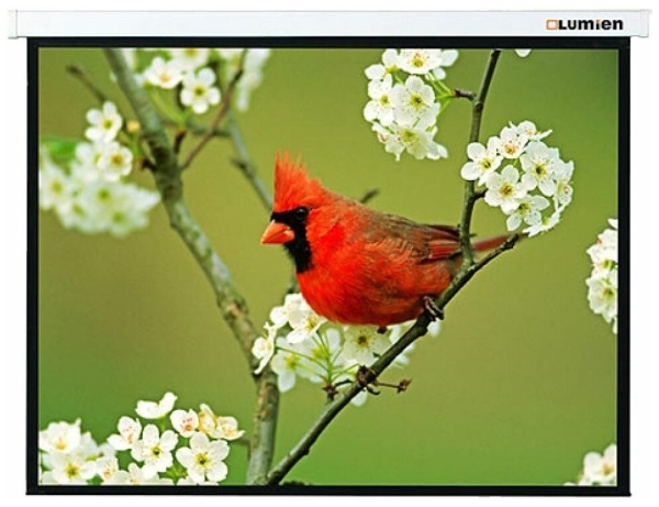 Технопапа · Экран для проектора Lumien Master Picture 213х213 см LMP-100105