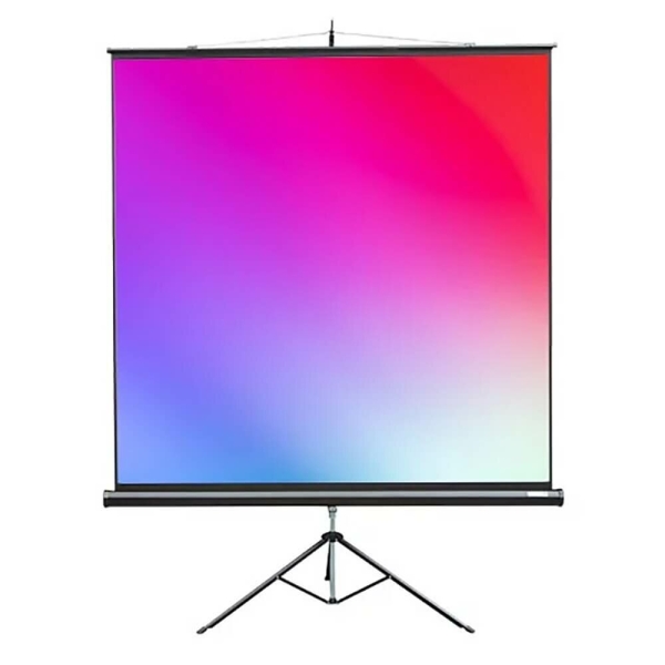 Технопапа · Экран для проекторов Lumien Master View LMV-100109