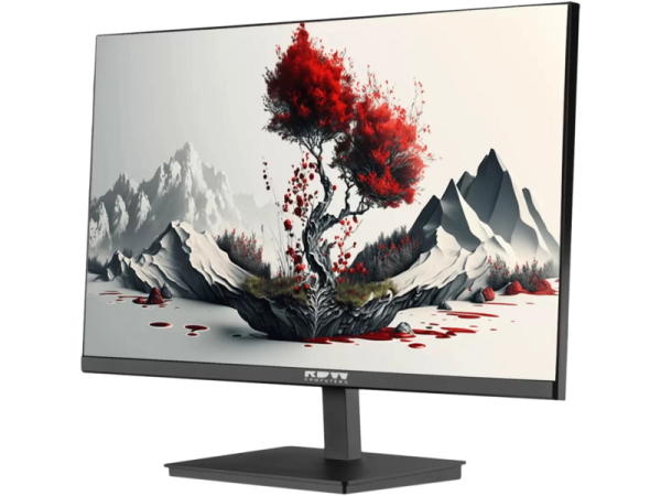 Технопапа · Монитор RDW Computers 23.8" RDW2401K черный IPS 4ms 16:9 HDMI M/M матовая HAS Piv 1000:1 300cd 178гр/178гр 1920x1080 100Hz VGA DP FHD 1.7кг (RUS)