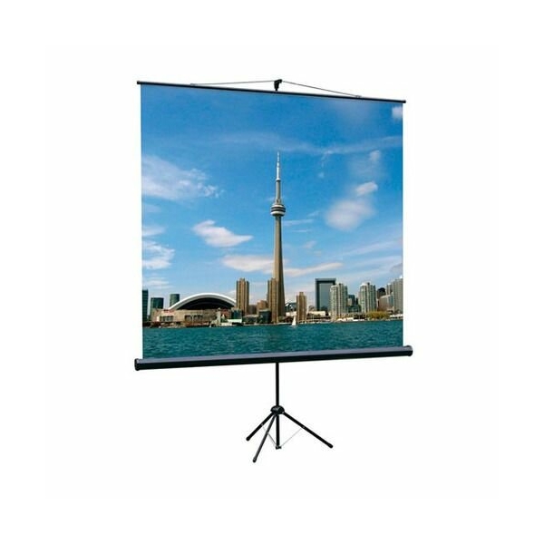 Технопапа · Экран Lumien Eco View LEV-100102, 180х180 см, 1:1, напольный