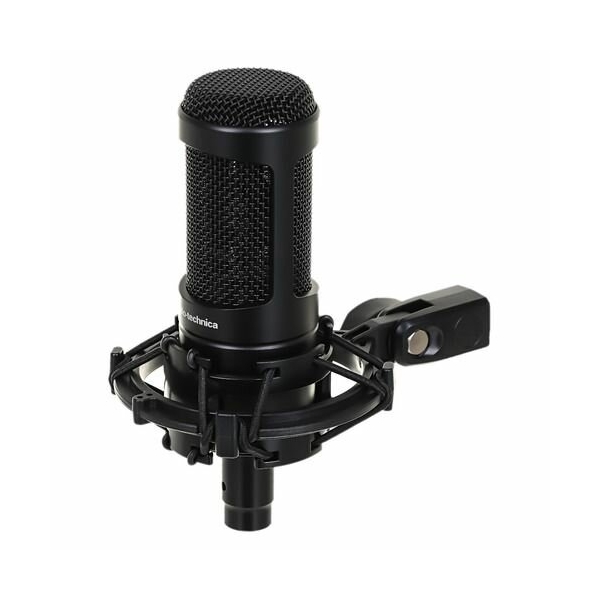 Технопапа · Микрофон Audio-Technica AT2050, черный [80001485]