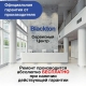 Технопапа · Конвекторный обогреватель Blackton Bt CNH1112 Белый / 1000 Вт