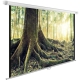 Технопапа · Экран Cactus WallExpert CS-PSWE-240x240-WT, 240х240 см, 1:1, настенно-потолочный