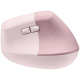 Технопапа · Беспроводная вертикальная мышь Logitech "Lift"